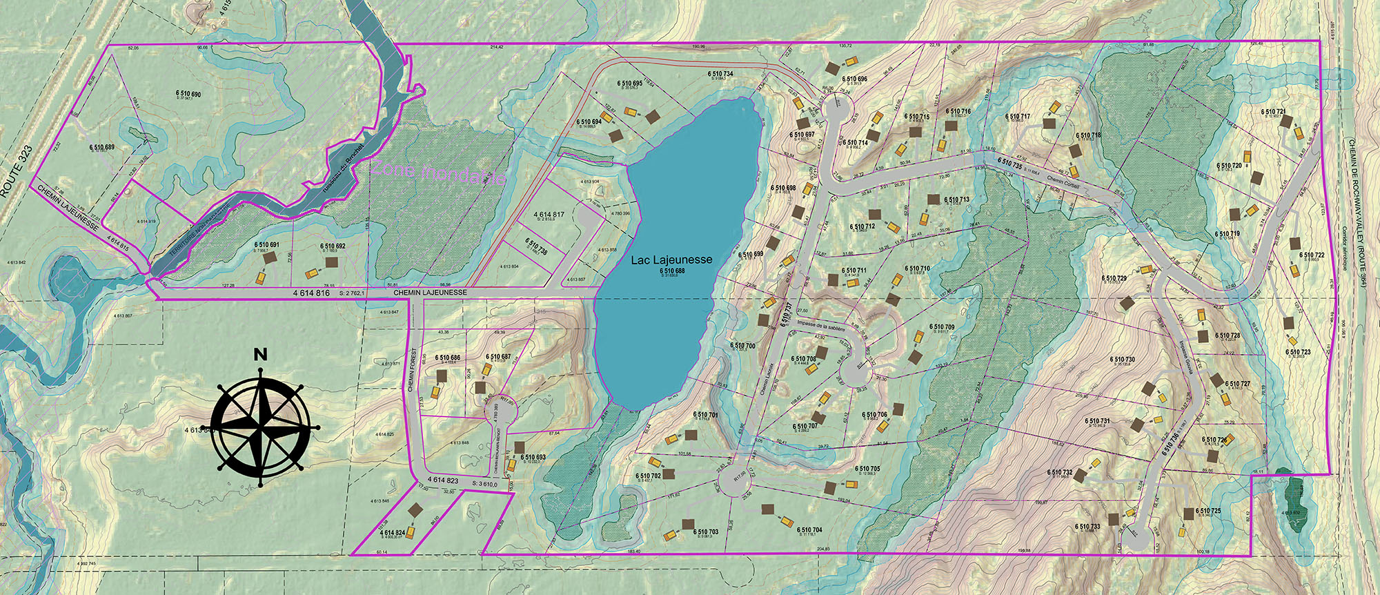 Layout1